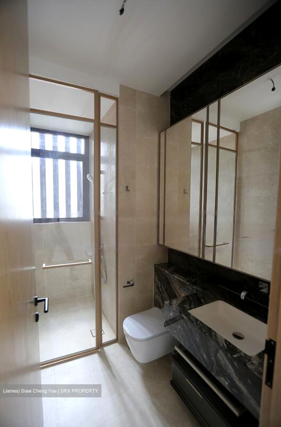 The Avenir (D9), Condominium #458746461